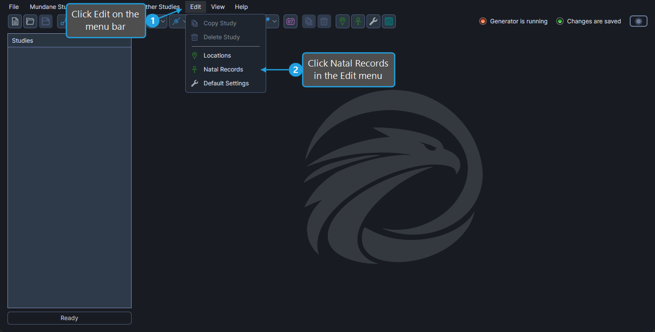 natal-records-editor-open-steps